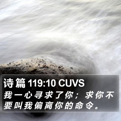 诗 篇 119:10 CUVS Bible Verse Image