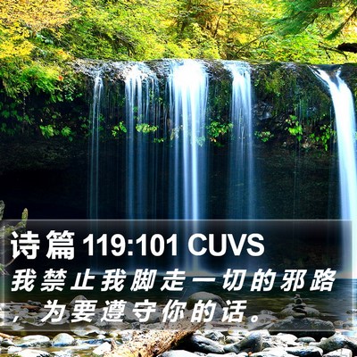 诗 篇 119:101 CUVS Bible Verse Image