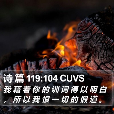诗 篇 119:104 CUVS Bible Verse Image