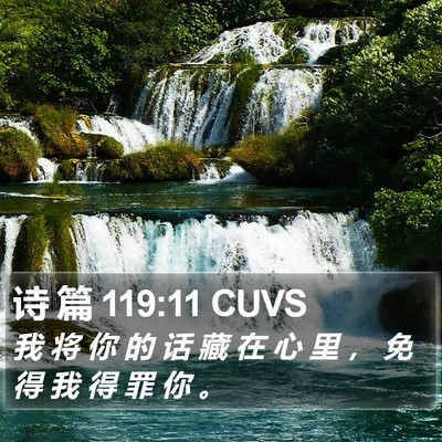 诗 篇 119:11 CUVS Bible Verse Image
