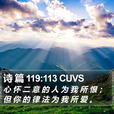 诗 篇 119:113 CUVS Bible Verse Image