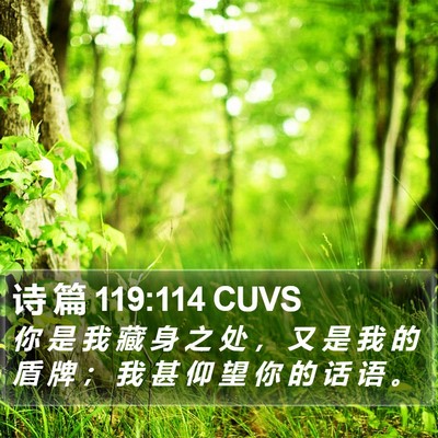 诗 篇 119:114 CUVS Bible Verse Image
