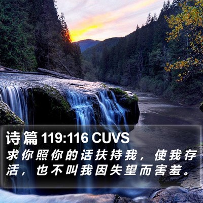 诗 篇 119:116 CUVS Bible Verse Image