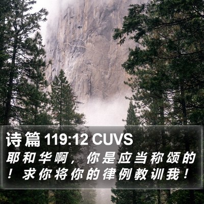 诗 篇 119:12 CUVS Bible Verse Image