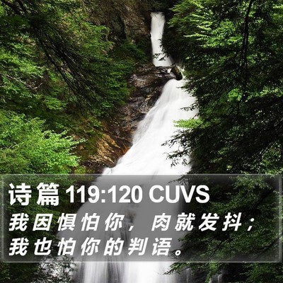 诗 篇 119:120 CUVS Bible Verse Image