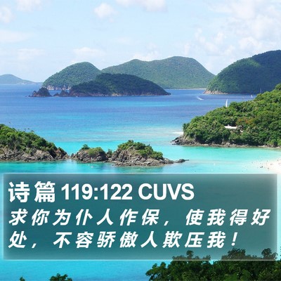 诗 篇 119:122 CUVS Bible Verse Image