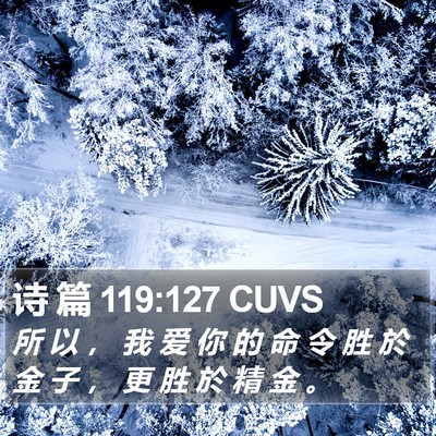 诗 篇 119:127 CUVS Bible Verse Image