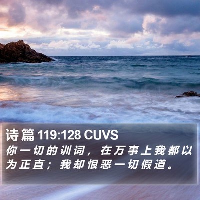 诗 篇 119:128 CUVS Bible Verse Image