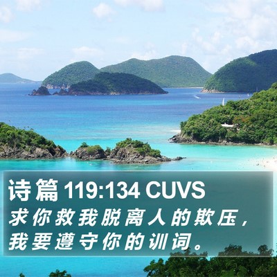 诗 篇 119:134 CUVS Bible Verse Image
