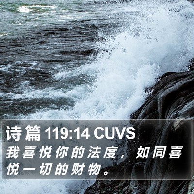诗 篇 119:14 CUVS Bible Verse Image