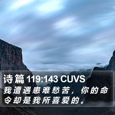 诗 篇 119:143 CUVS Bible Verse Image
