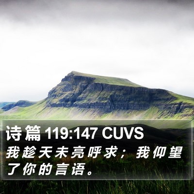 诗 篇 119:147 CUVS Bible Verse Image