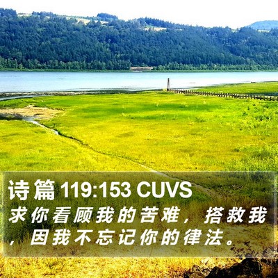 诗 篇 119:153 CUVS Bible Verse Image