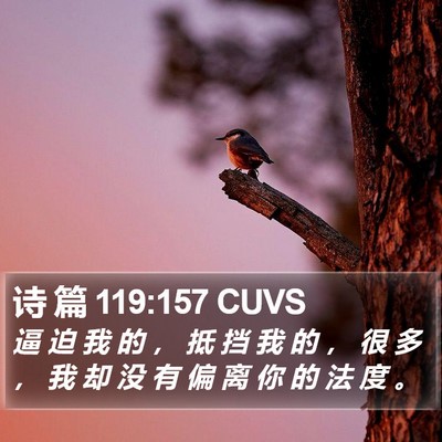 诗 篇 119:157 CUVS Bible Verse Image