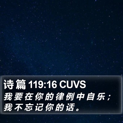 诗 篇 119:16 CUVS Bible Verse Image