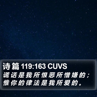 诗 篇 119:163 CUVS Bible Verse Image