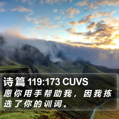 诗 篇 119:173 CUVS Bible Verse Image