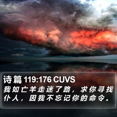 诗 篇 119:176 CUVS Bible Verse Image