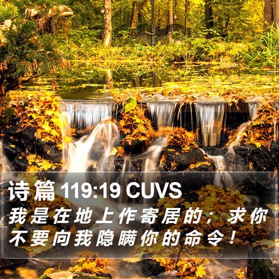 诗 篇 119:19 CUVS Bible Verse Image