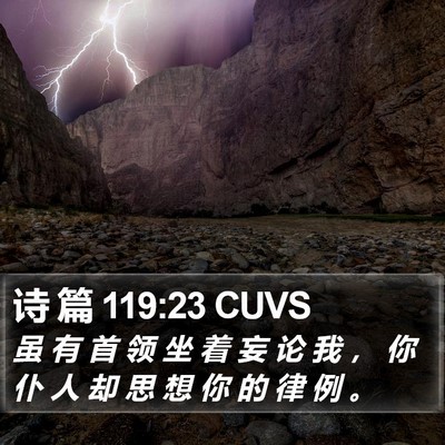 诗 篇 119:23 CUVS Bible Verse Image