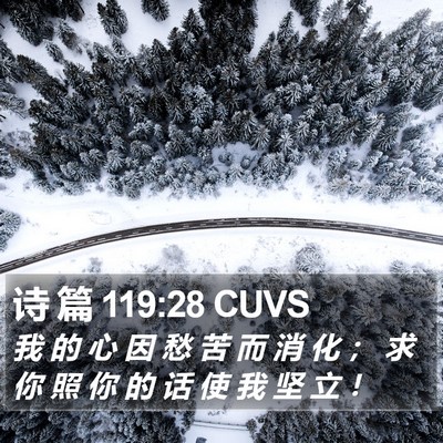 诗 篇 119:28 CUVS Bible Verse Image