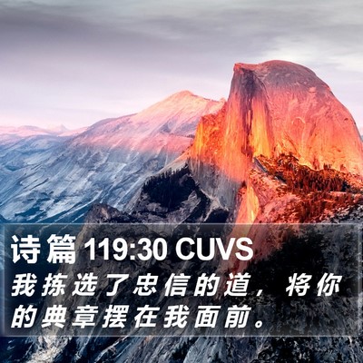 诗 篇 119:30 CUVS Bible Verse Image