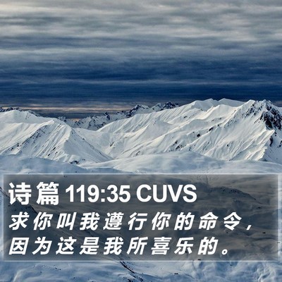 诗 篇 119:35 CUVS Bible Verse Image