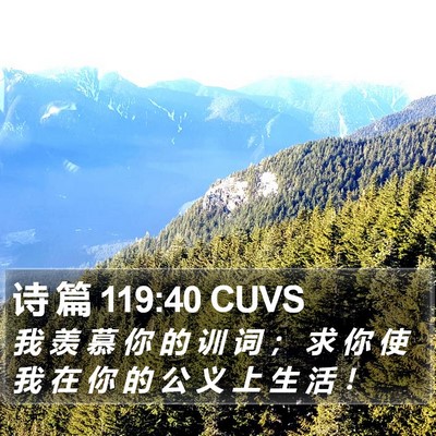 诗 篇 119:40 CUVS Bible Verse Image