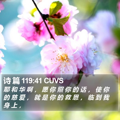 诗 篇 119:41 CUVS Bible Verse Image