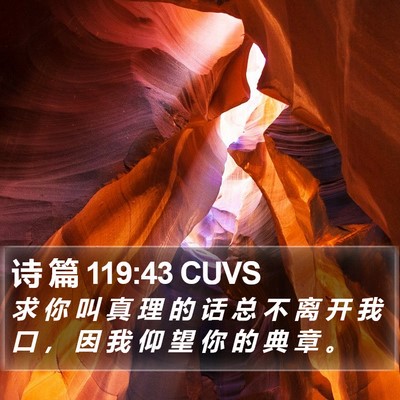诗 篇 119:43 CUVS Bible Verse Image