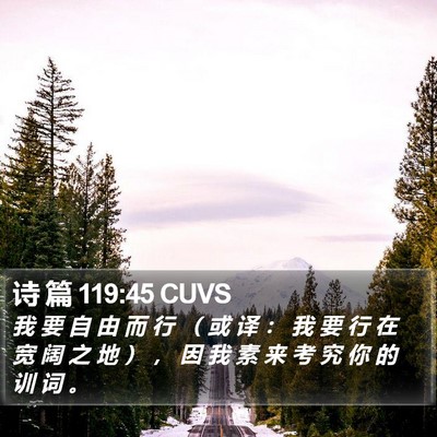 诗 篇 119:45 CUVS Bible Verse Image