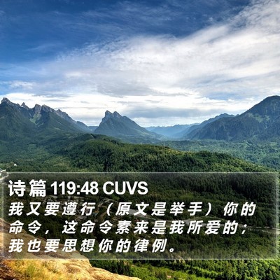 诗 篇 119:48 CUVS Bible Verse Image
