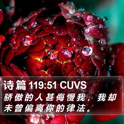 诗 篇 119:51 CUVS Bible Verse Image