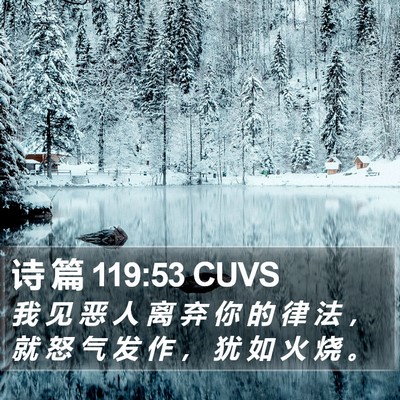 诗 篇 119:53 CUVS Bible Verse Image
