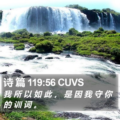 诗 篇 119:56 CUVS Bible Verse Image