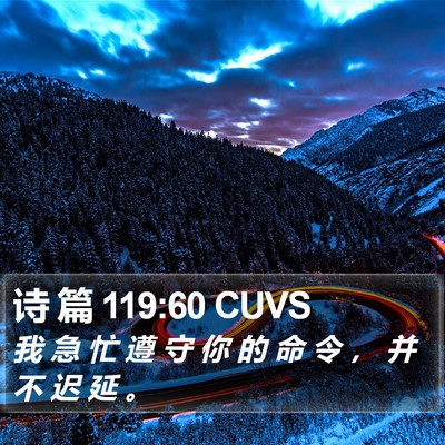 诗 篇 119:60 CUVS Bible Verse Image