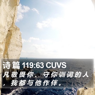 诗 篇 119:63 CUVS Bible Verse Image