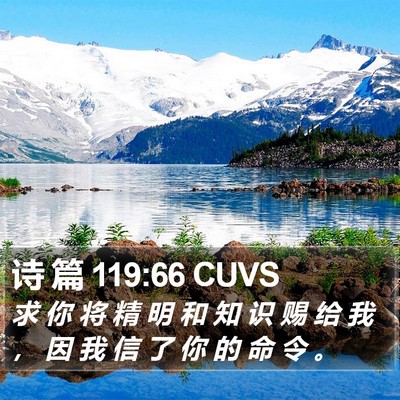 诗 篇 119:66 CUVS Bible Verse Image