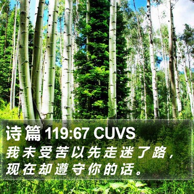 诗 篇 119:67 CUVS Bible Verse Image