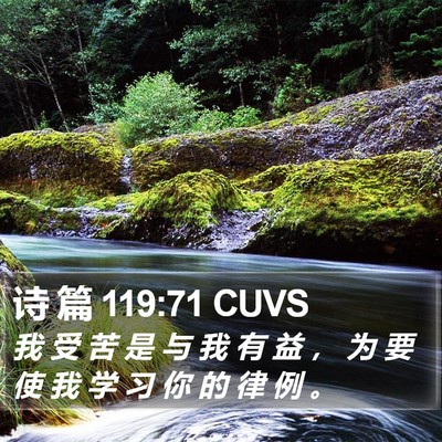 诗 篇 119:71 CUVS Bible Verse Image