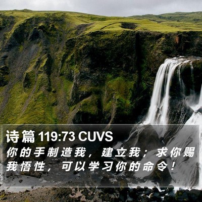 诗 篇 119:73 CUVS Bible Verse Image