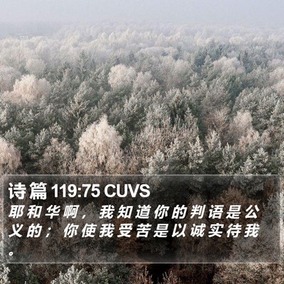 诗 篇 119:75 CUVS Bible Verse Image