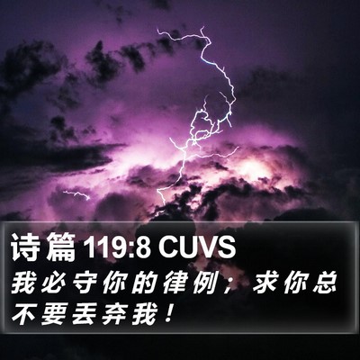 诗 篇 119:8 CUVS Bible Verse Image
