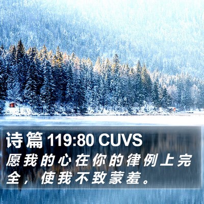 诗 篇 119:80 CUVS Bible Verse Image