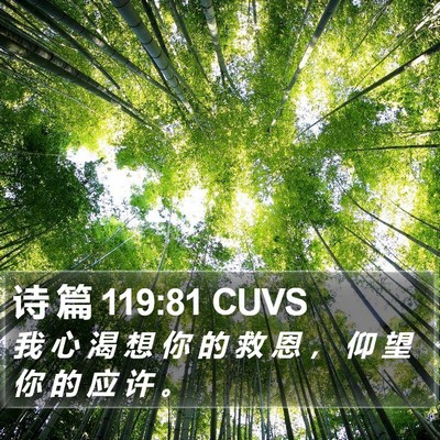 诗 篇 119:81 CUVS Bible Verse Image