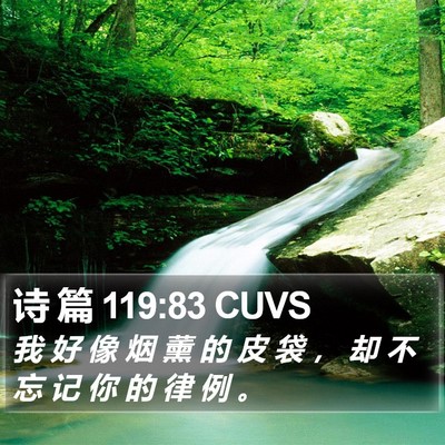 诗 篇 119:83 CUVS Bible Verse Image