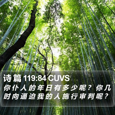 诗 篇 119:84 CUVS Bible Verse Image