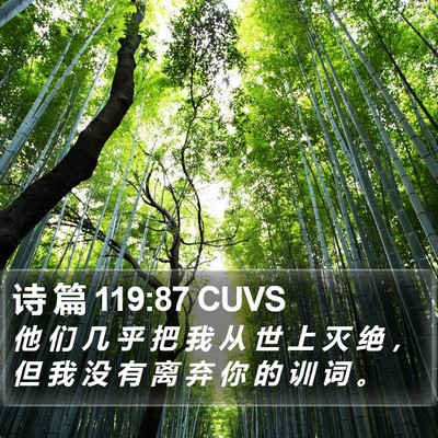 诗 篇 119:87 CUVS Bible Verse Image