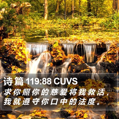 诗 篇 119:88 CUVS Bible Verse Image