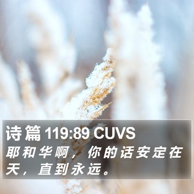 诗 篇 119:89 CUVS Bible Verse Image